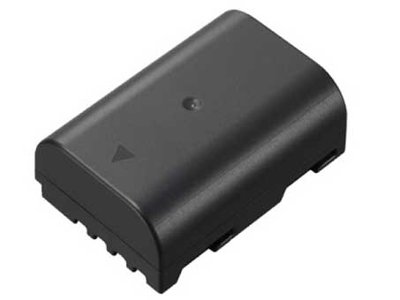 Compatible Digitalkamera Akku PANASONIC  for DMW-BLF19E 